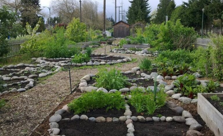Cultivating Green Futures: Your Guide to Sustainable Garden Design Workshops