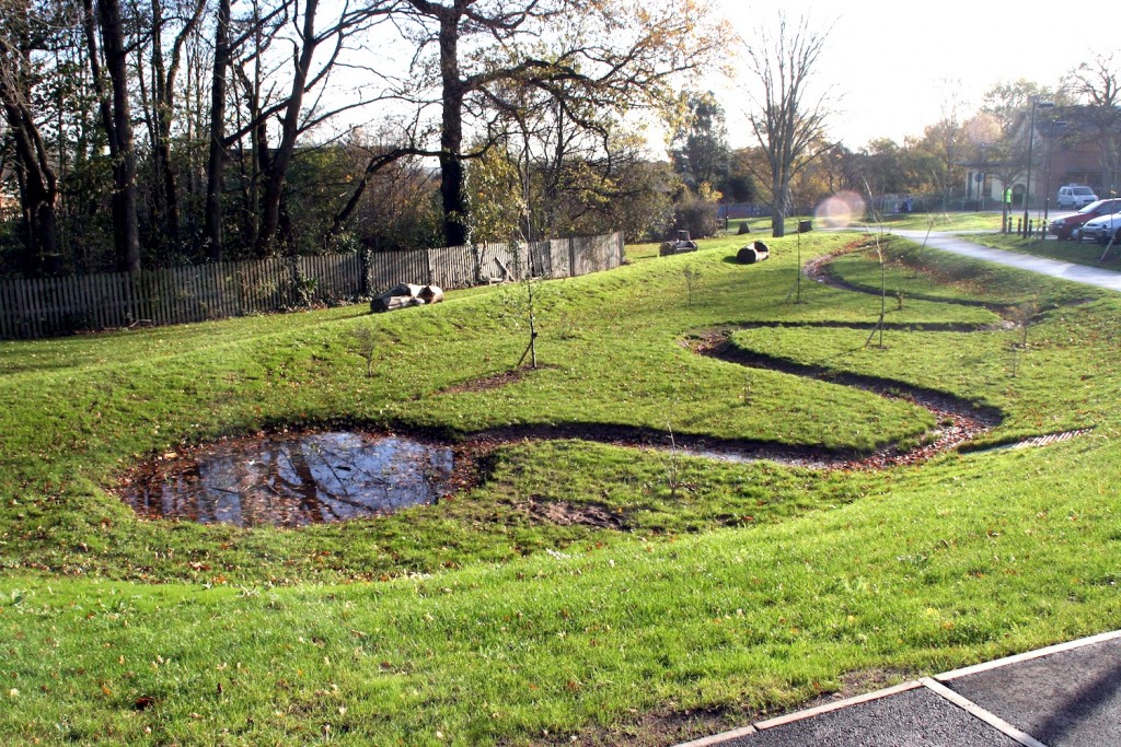 Sustainable Landscape Drainage Solutions: Protecting Your Property and the Planet