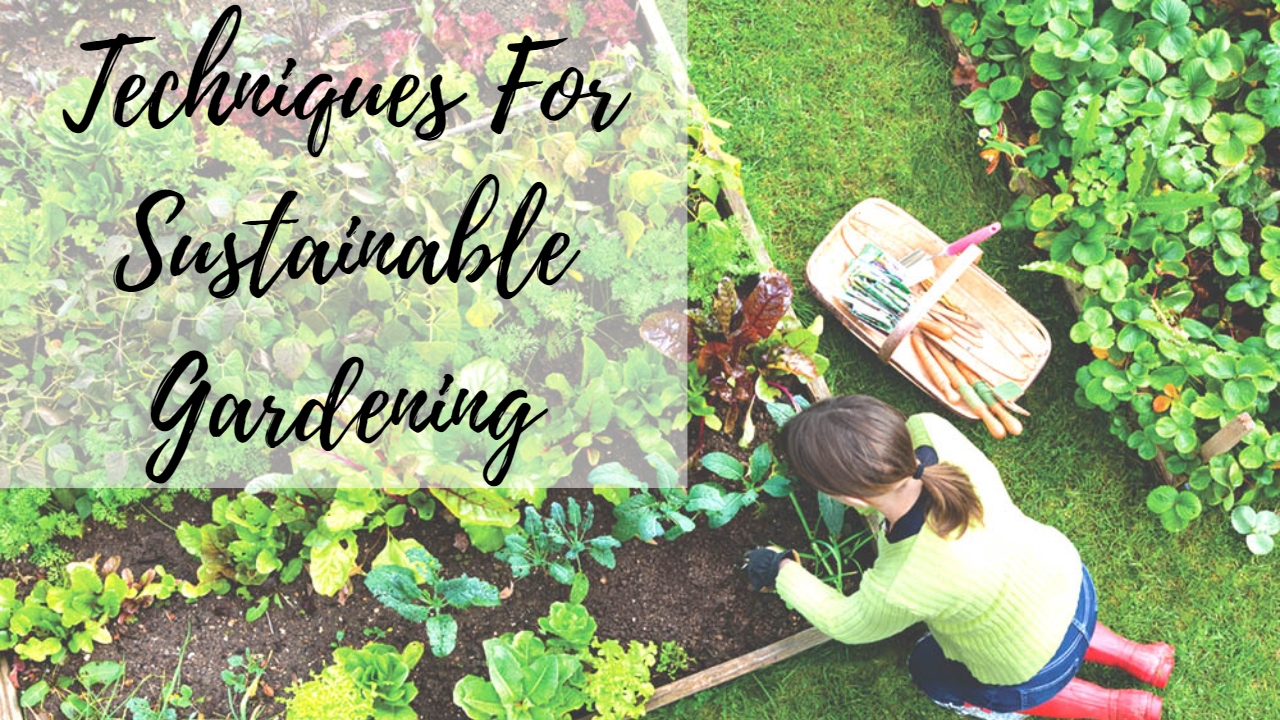 Cultivating a Greener Future: Comprehensive Sustainable Garden Education Resources