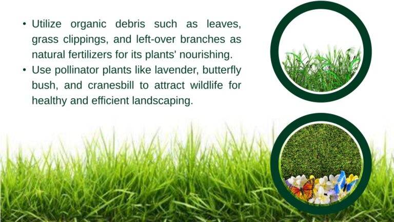 Green Thumb, Greener Planet: Mastering Sustainable Landscape Maintenance Practices