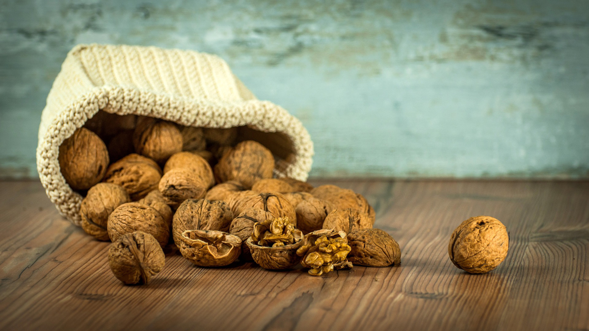 Nuts About Growing: Your Ultimate Guide to Cultivating Organic Nuts Indoors