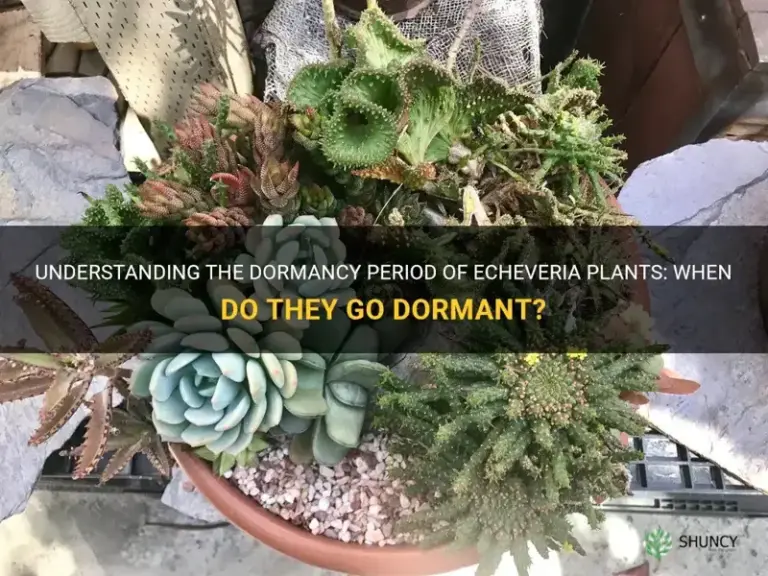 Unveiling the Secrets of Plant Dormancy: A Comprehensive Guide to Requirements and Cultivation