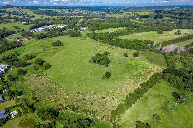Building Bridges for Biodiversity: Creating and Protecting Wildlife Corridors to Attract Native Wildlife