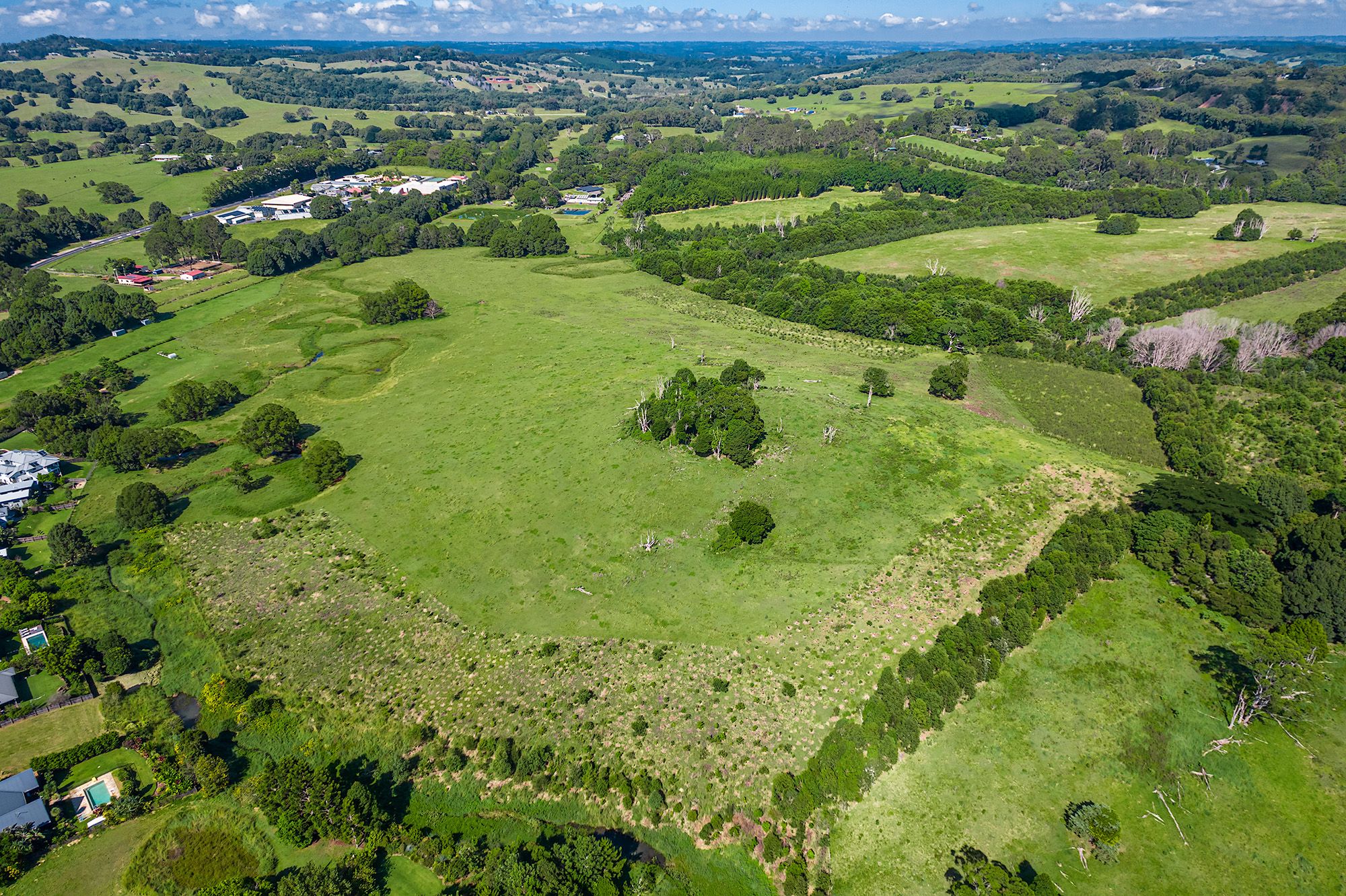 Building Bridges for Biodiversity: Creating and Protecting Wildlife Corridors to Attract Native Wildlife