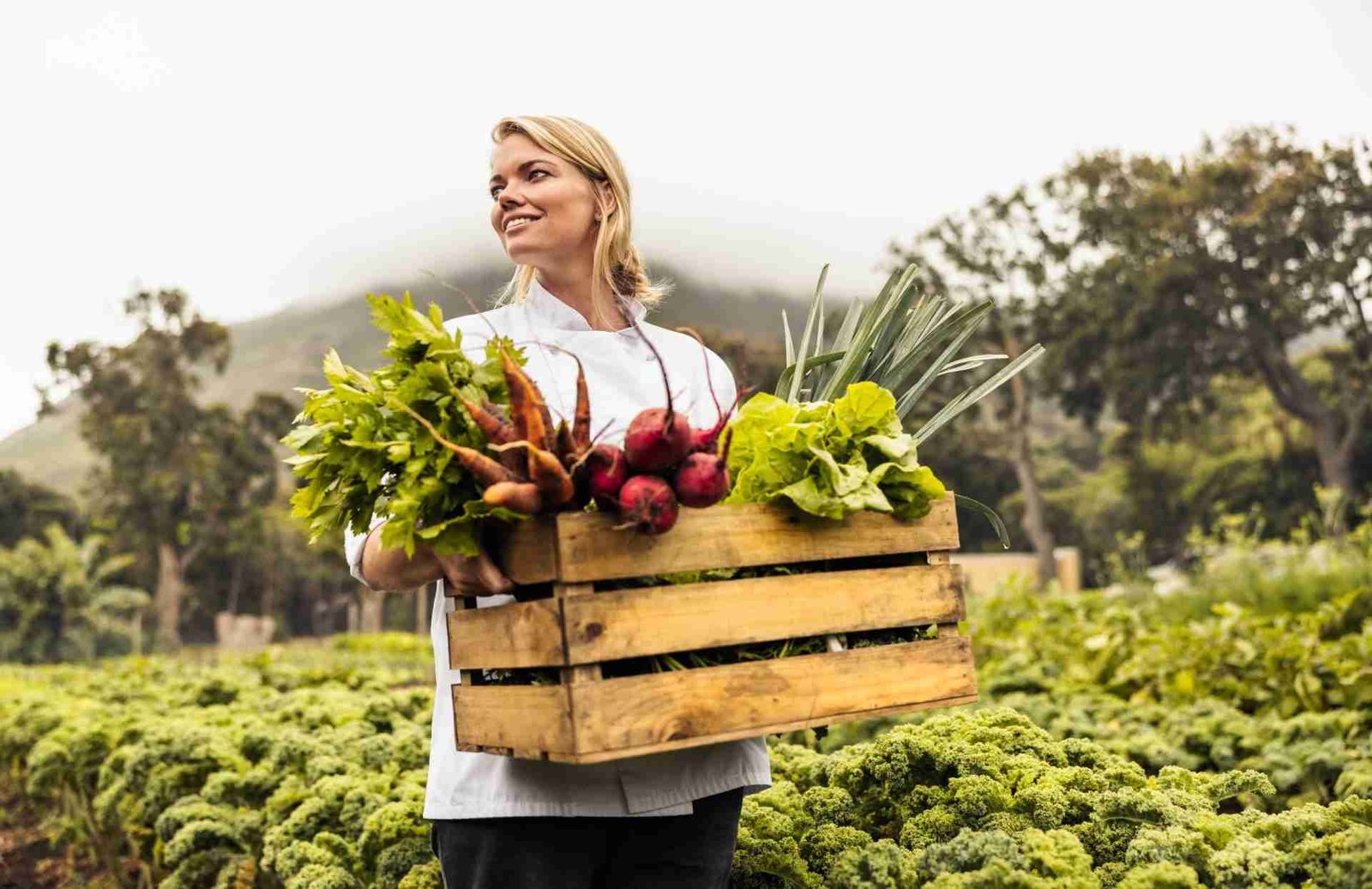 Grow Green: A Beginner’s Guide to Sustainable Gardening Practices