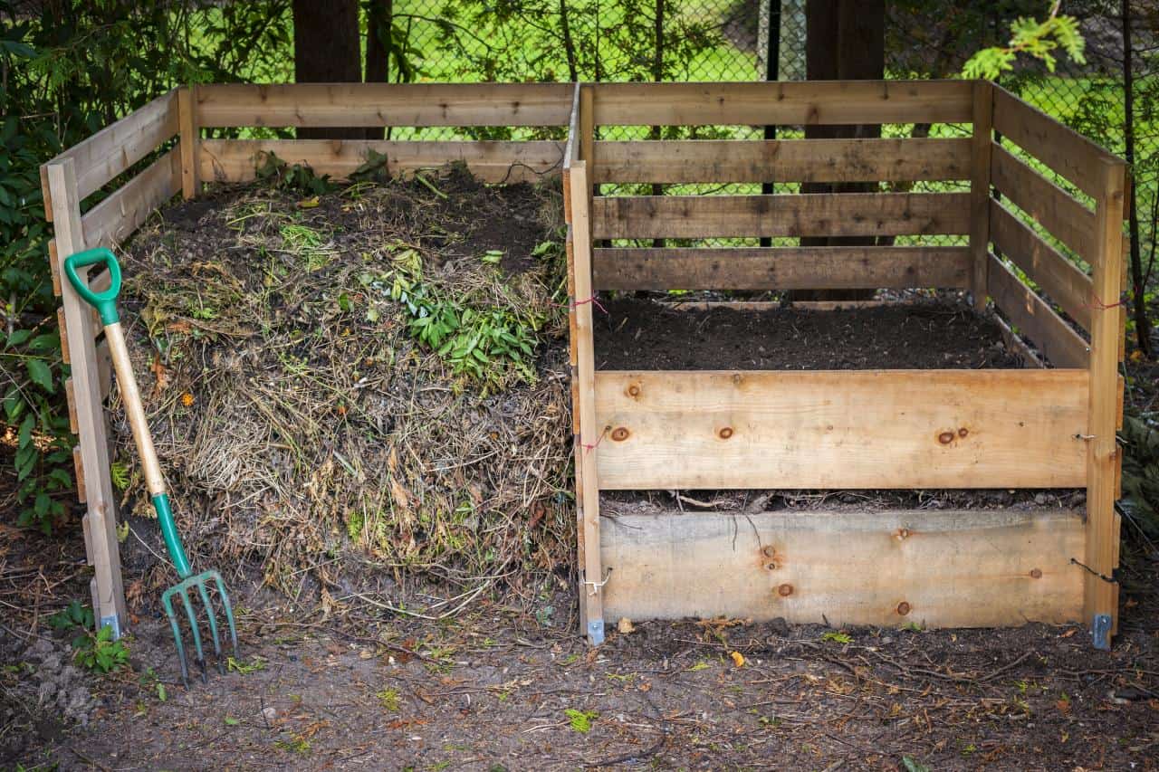 Mastering Compost Bin Management: A Comprehensive Guide to Black Gold