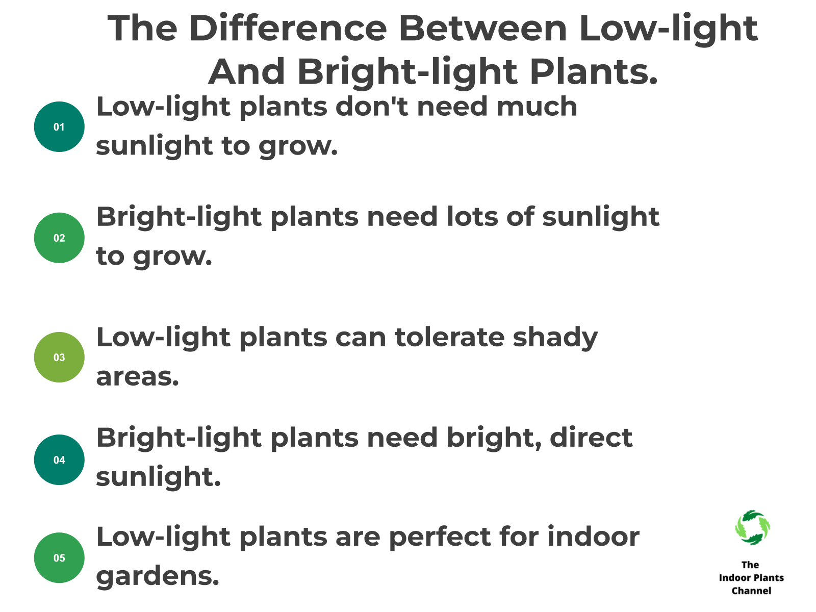 Illuminating Your Home: A Comprehensive Guide to Choosing Plants for Low Light Conditions