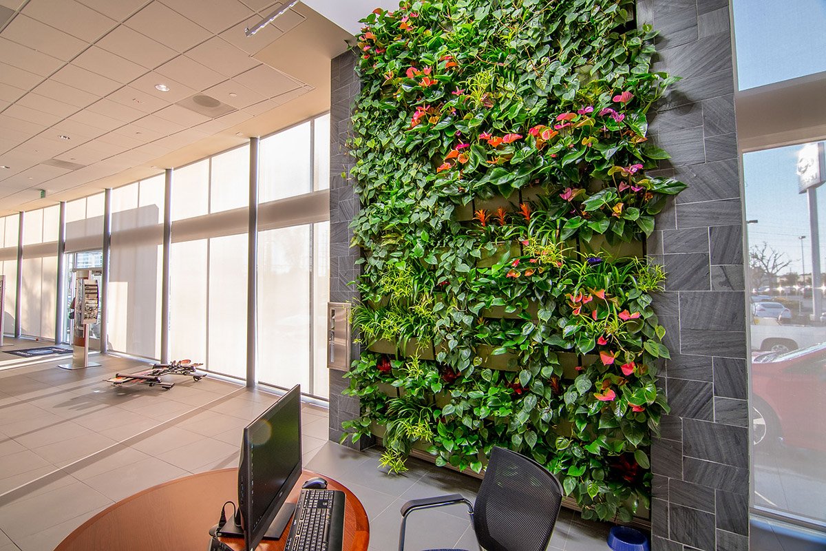 Bringing the Outdoors In: A Comprehensive Guide to Creating a Thriving Indoor Living Wall