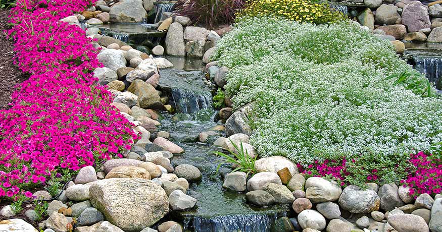 Erosion Control Champions: The Best Perennial Groundcover for Slopes