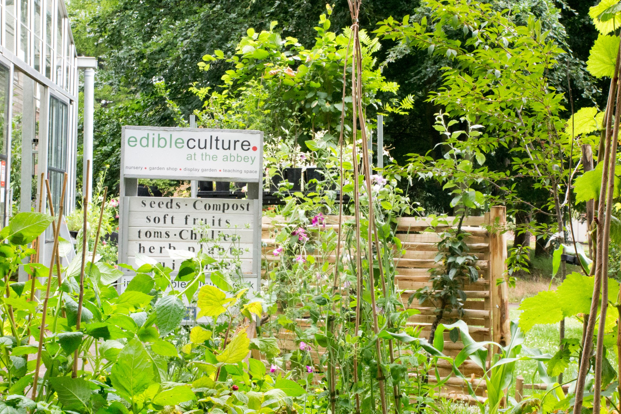 The Ultimate Guide to Sustainable Garden Products: Reviews & Recommendations for Eco-Conscious Gardeners