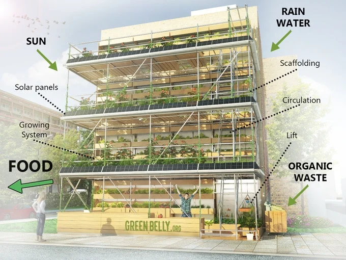Cultivating the Future: Designing Sustainable Urban Farms for a Greener Tomorrow