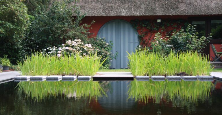 Designing a Reflective Garden: Creating a Sanctuary for Mind, Body, and Soul