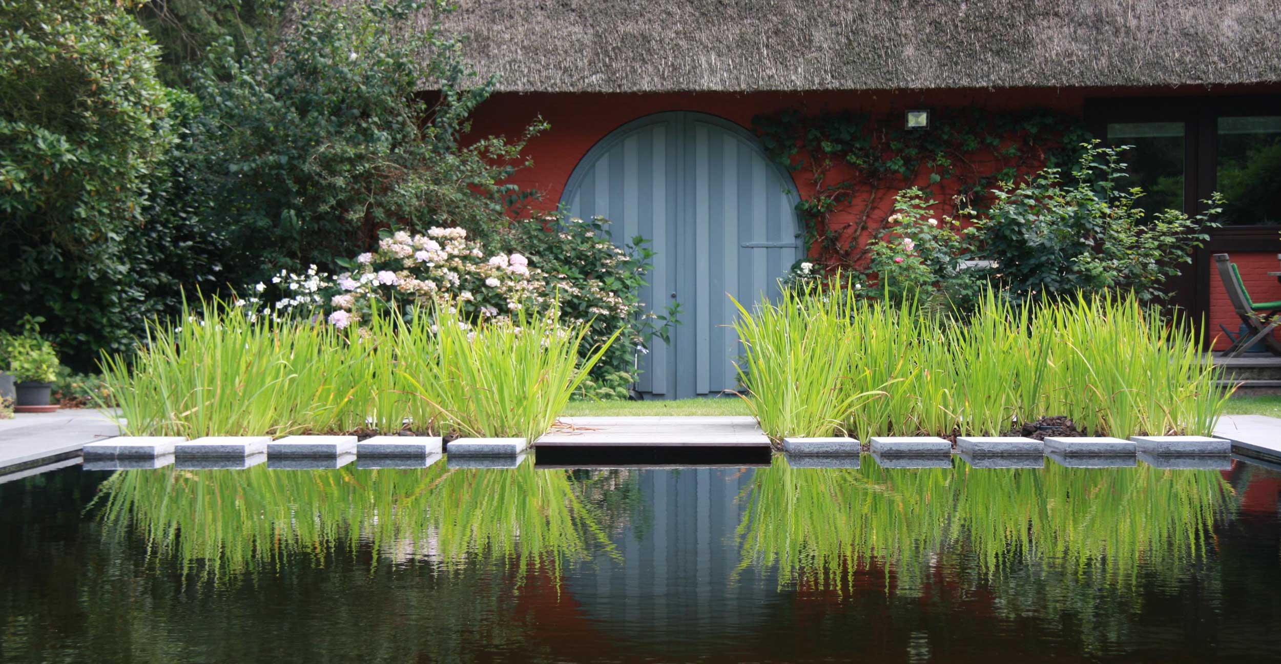 Designing a Reflective Garden: Creating a Sanctuary for Mind, Body, and Soul