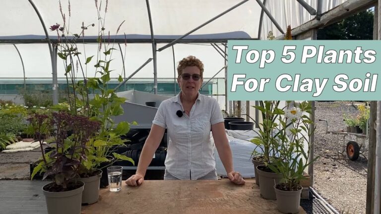 Thriving in the Muck: A Comprehensive Guide to Choosing Plants for Heavy Clay Soil