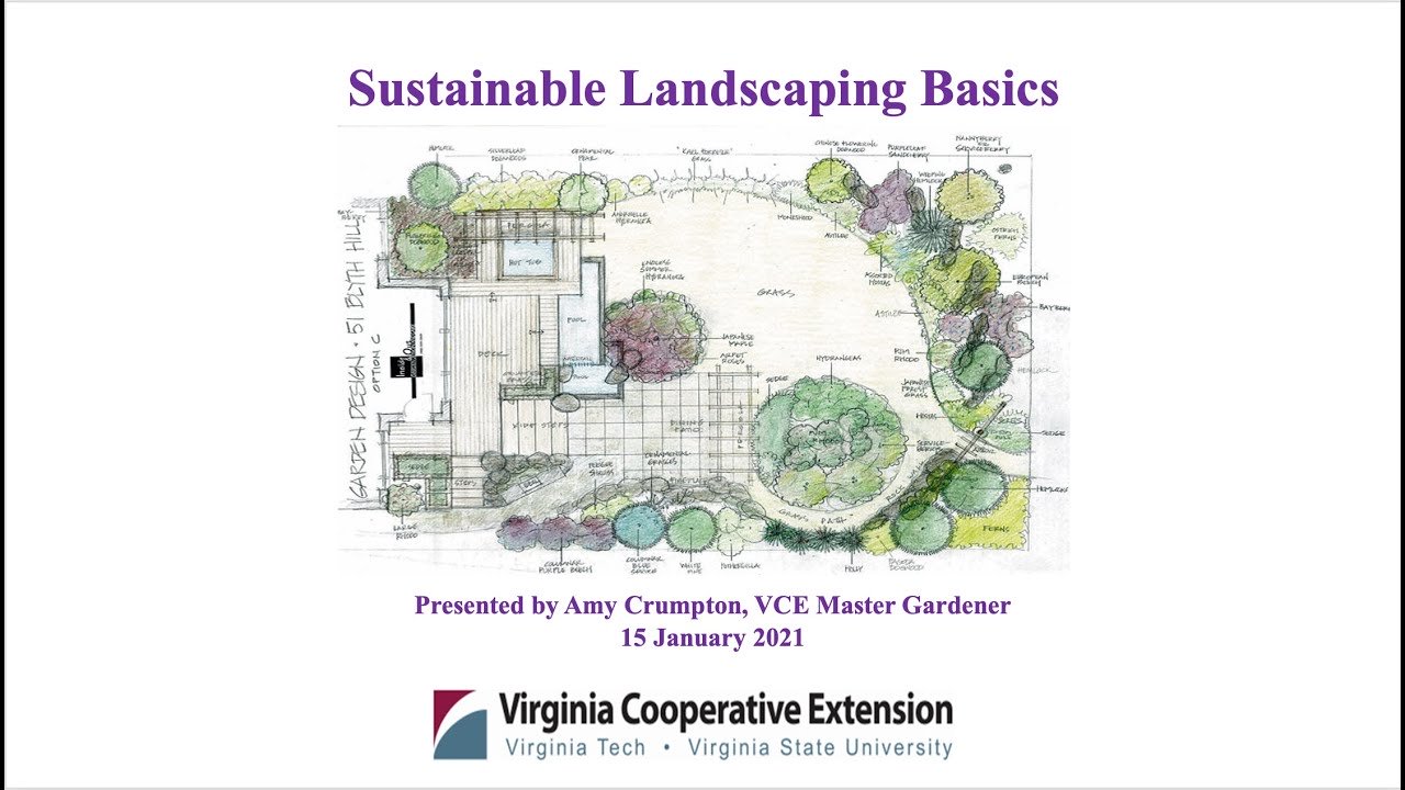 Cultivating Tomorrow’s Green Leaders: A Deep Dive into Sustainable Landscape Education Programs