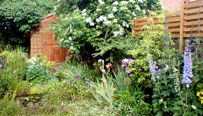 Crafting a Haven: Designing a Wildlife-Friendly Garden That Thrives