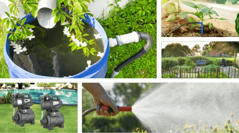 Thriving Gardens, Conserving Water: A Guide to Sustainable Water Management Thriving Gardens, Conserving Water: A Guide to Sustainable Water Management