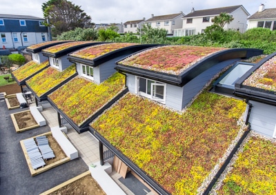Unlocking Urban Sustainability: A Comprehensive Guide to Green Roof Systems