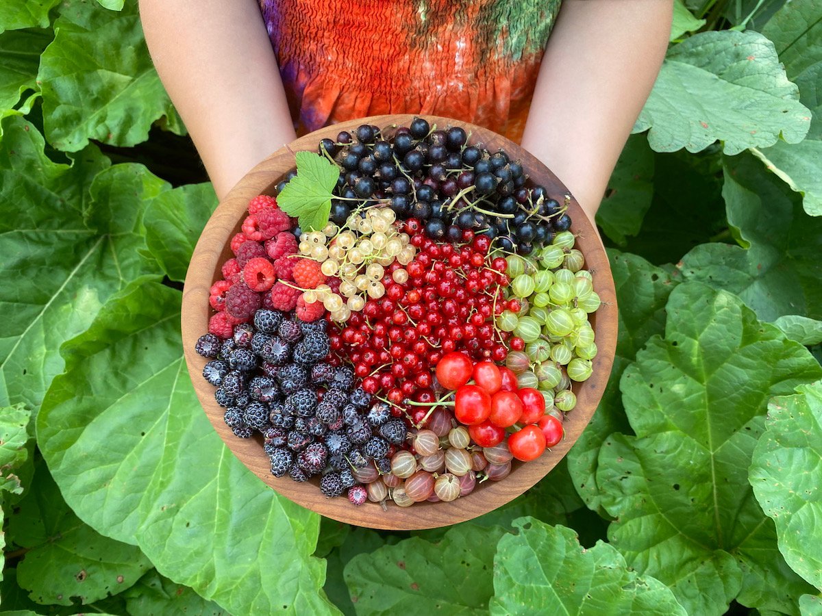 Unleash Your Inner Gardener: A Guide to Growing Unusual Fruiting Plants