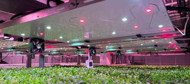 Illuminating Growth: A Comprehensive Guide to Implementing Smart Grow Light Systems