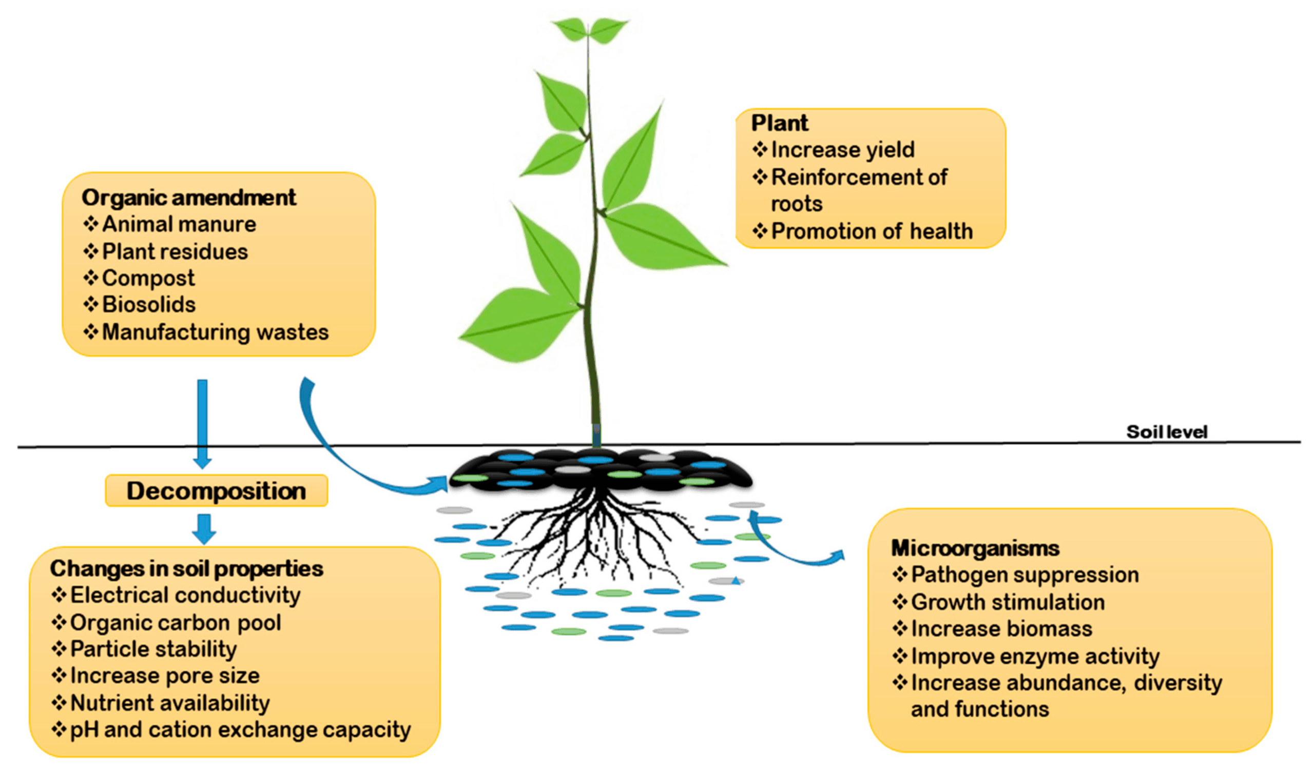 Unlocking Nature’s Secret: A Deep Dive into Plant Resilience Factors