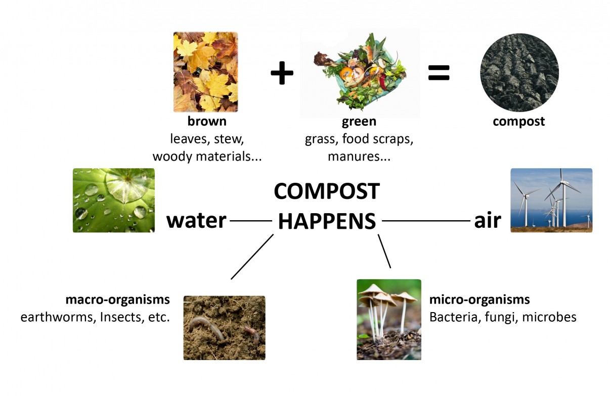 Unlocking Nature’s Recycling Crew: A Comprehensive Guide to Attracting Native Decomposers to Your Compost