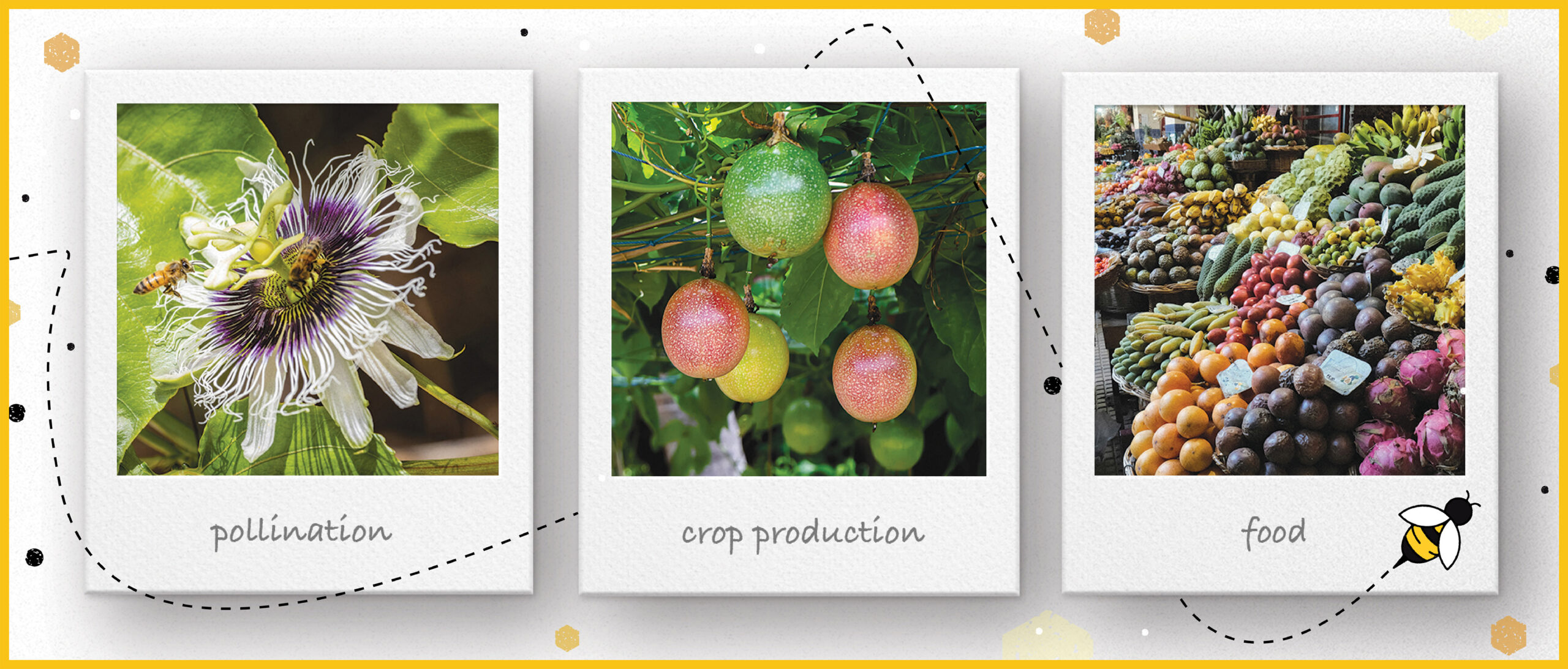 Unlocking Agricultural Abundance: The Vital Role of Pollination Services