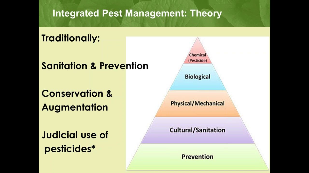 Mastering Integrated Pest Management: A Comprehensive Guide to Sustainable Pest Control