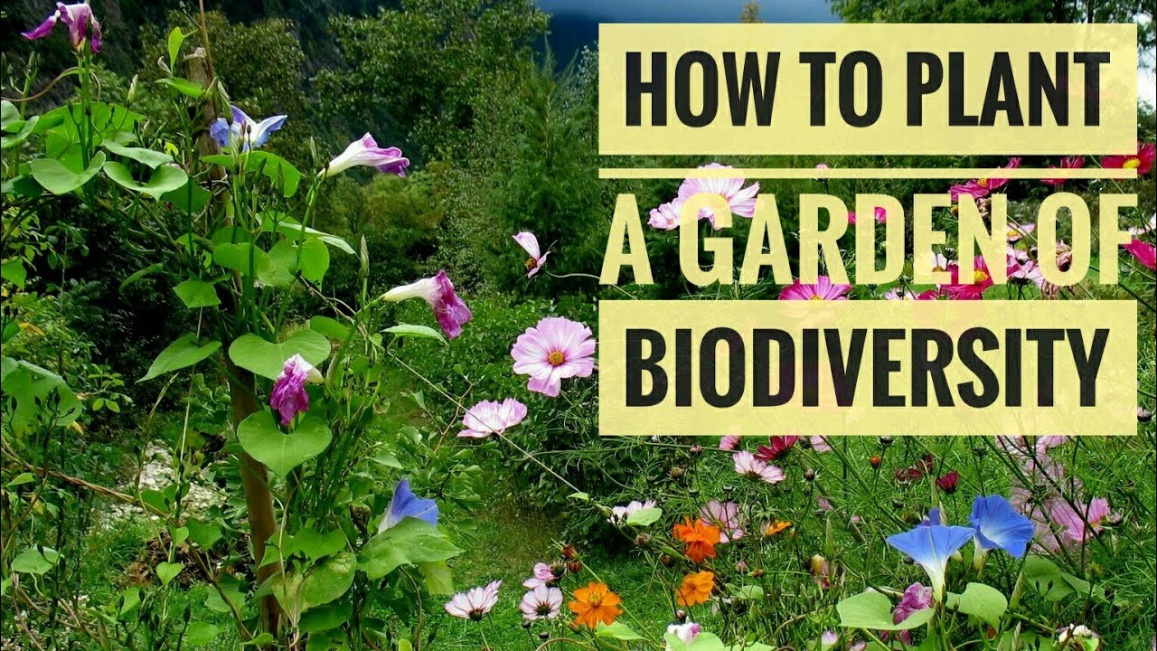 Cultivating Life: Biodiversity-Friendly Planting Choices for a Thriving Planet