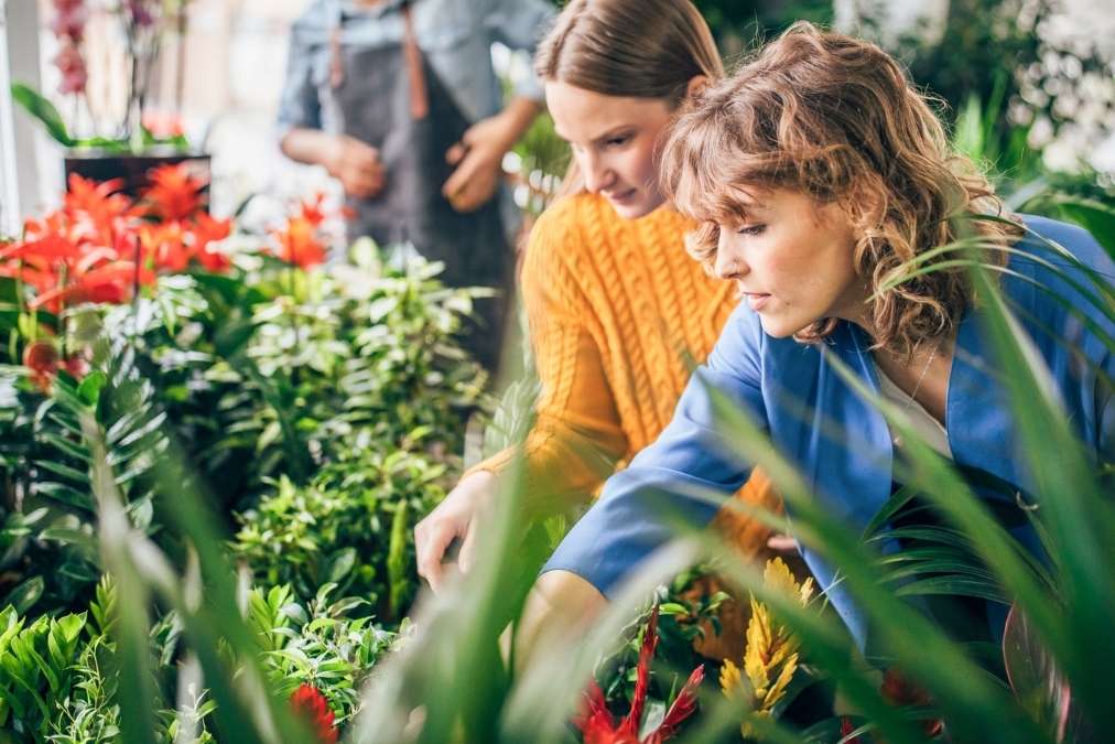 Thriving Against the Odds: A Guide to Choosing Plants for Challenging Climates Thriving Against the Odds: A Guide to Choosing Plants for Challenging Climates