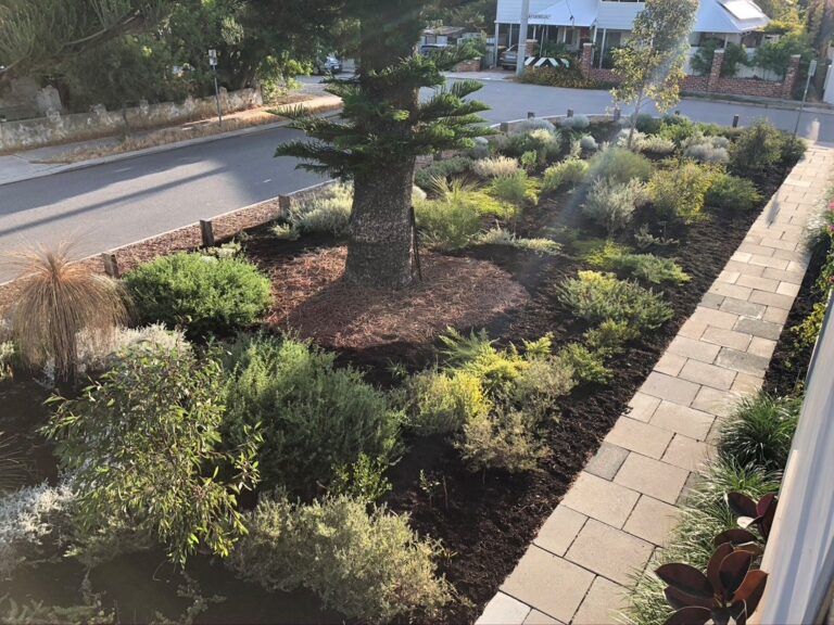 The Ultimate Guide to Planting Native Shrubs: A Thriving Ecosystem in Your Backyard
