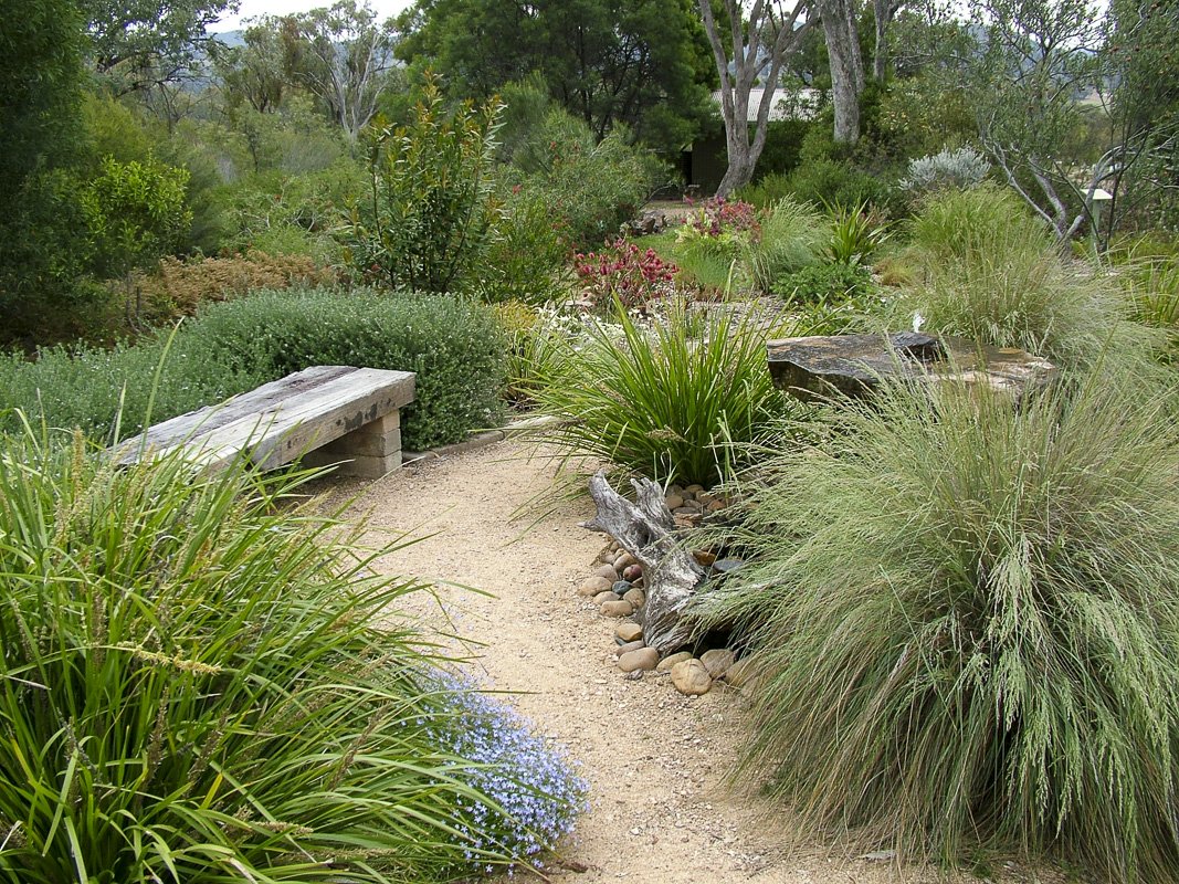 Cultivating Biodiversity: A Comprehensive Guide to Creating Your Own Native Plant Arboretum