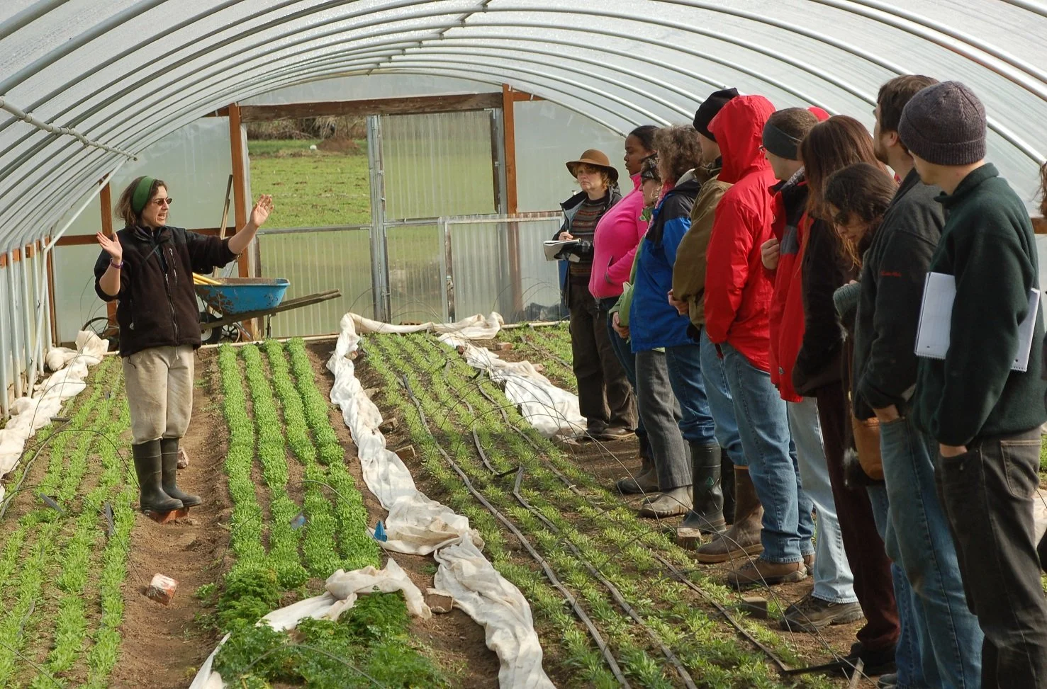 Cultivating Community: A Deep Dive into University Extension Planting Workshops