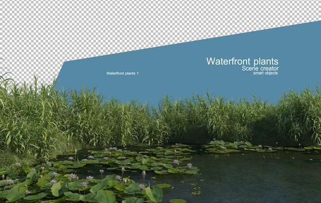 Designing Dreams: Selecting the Perfect Plants to Frame Your Waterfront Views Designing Dreams: Selecting the Perfect Plants to Frame Your Waterfront Views