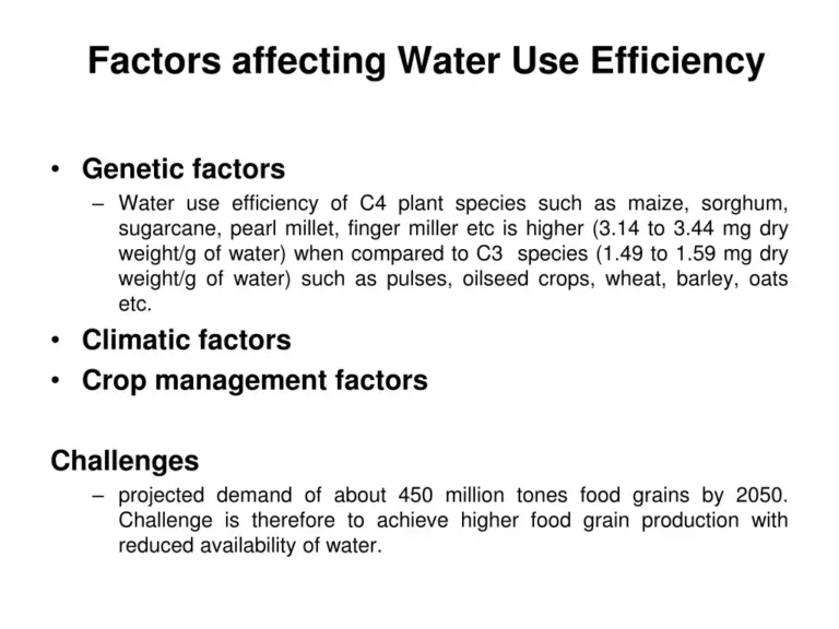 Unlocking the Secrets of Plant Water Efficiency: A Comprehensive Guide