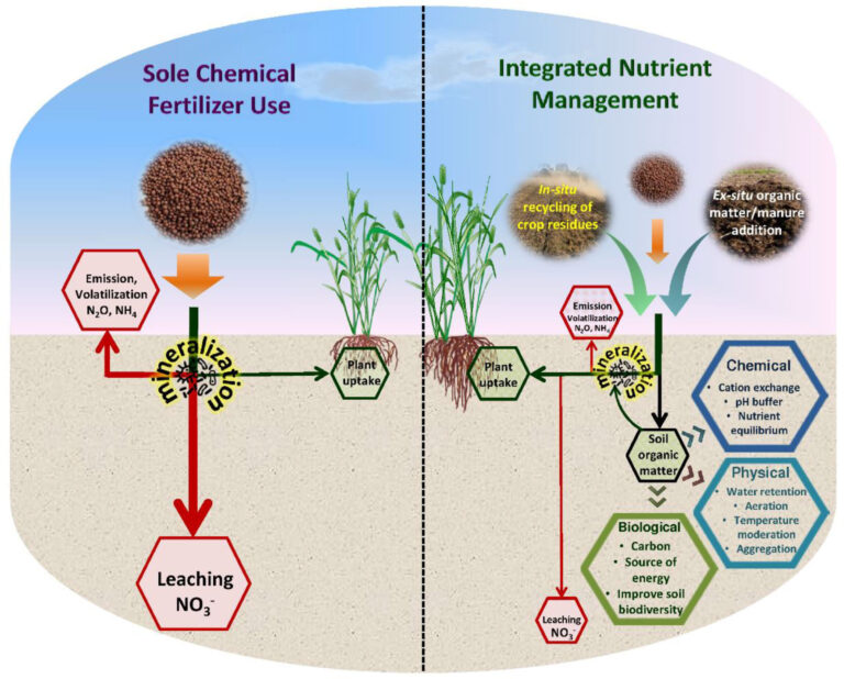 Unlocking Soil Potential: Proven Strategies for Soil Health Improvement