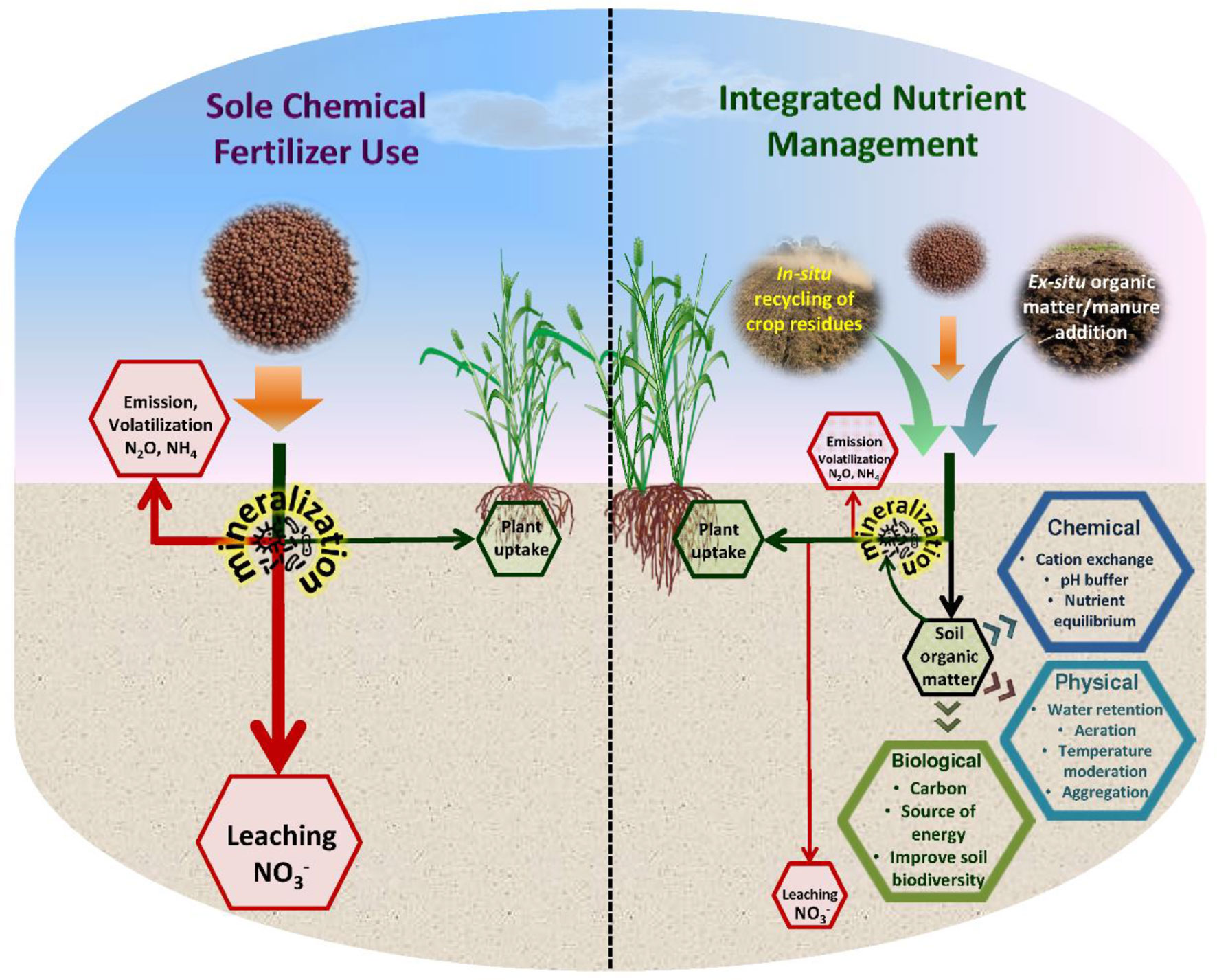 Unlocking Soil Potential: Proven Strategies for Soil Health Improvement