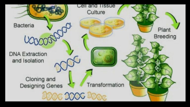 Unlocking Nature’s Secrets: A Comprehensive Guide to Plant Genetic Engineering