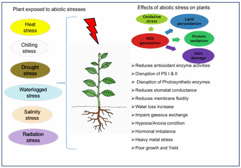 Decoding Plant Stress Management: A Comprehensive Guide to Thriving Gardens