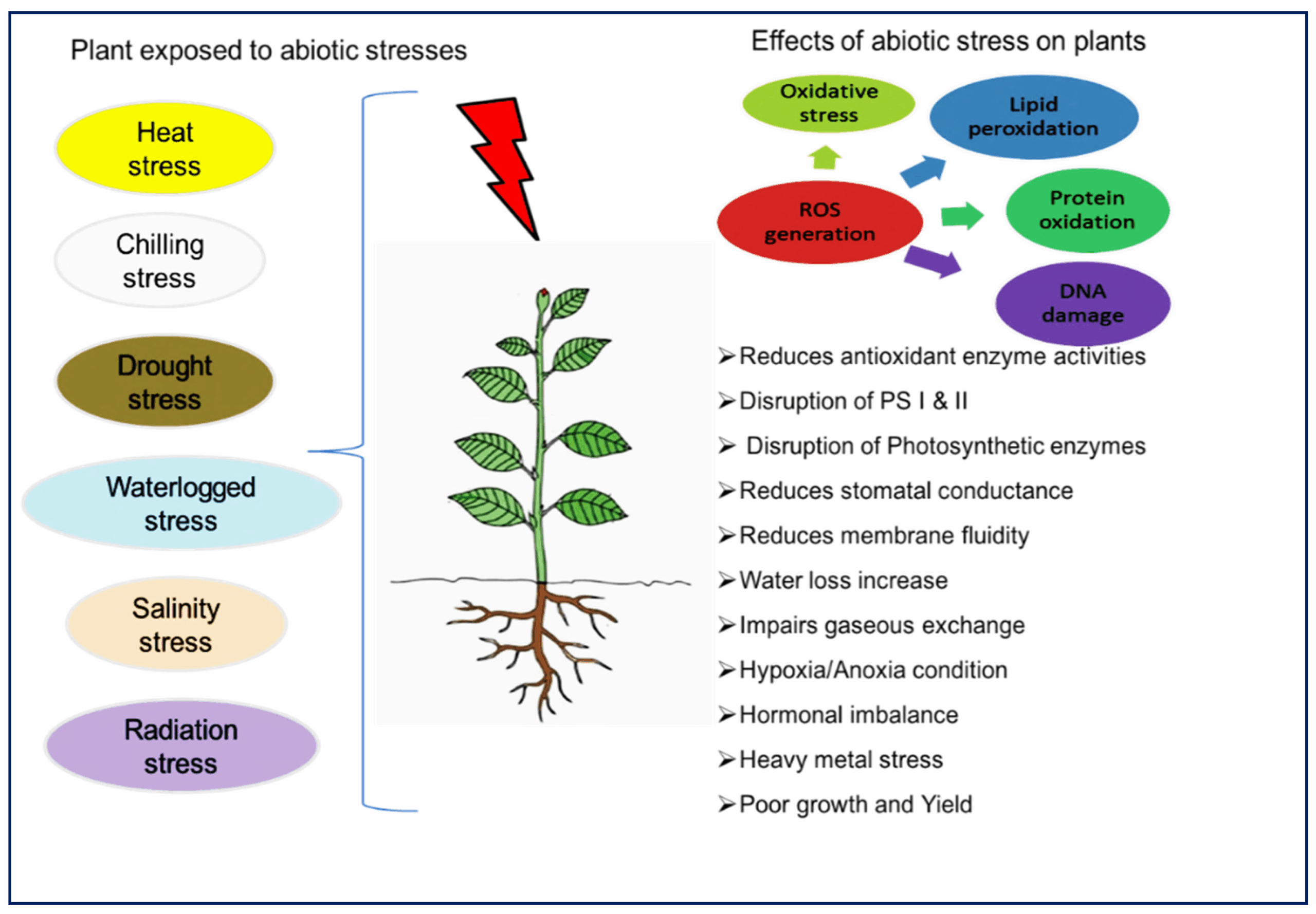 Decoding Plant Stress Management: A Comprehensive Guide to Thriving Gardens