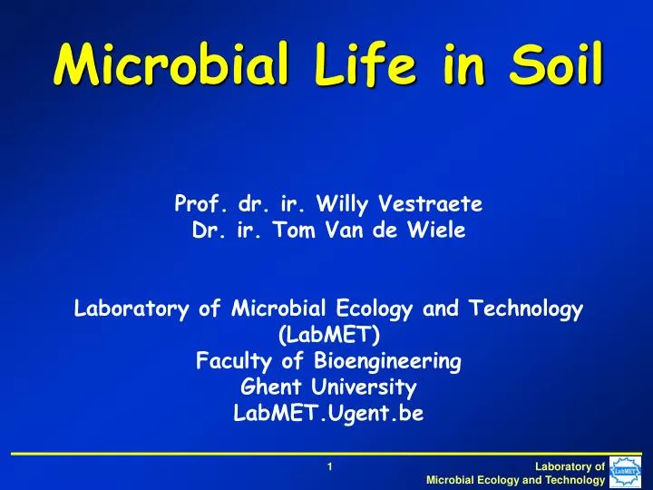 Unveiling the Hidden World: A Comprehensive Guide to Soil Microbial Life