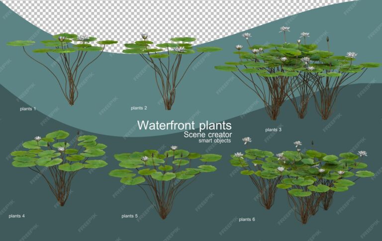 Thriving Shores: A Comprehensive Guide to Choosing the Perfect Plants for Your Waterfront Property Thriving Shores: A Comprehensive Guide to Choosing the Perfect Plants for Your Waterfront Property