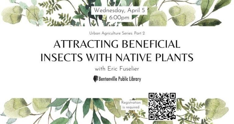 Attracting Native Beneficial Insects to Your Vegetable Garden: A Comprehensive Guide