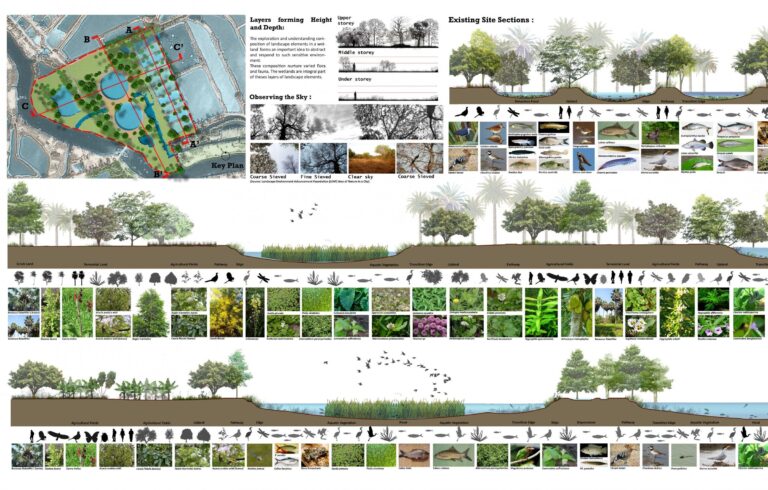 Crafting Harmony: A Comprehensive Guide to Implementing Ecological Landscape Design