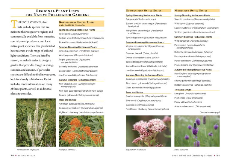 Unlocking Soil Secrets: A Gardener’s Guide to Attracting Native Soil Organisms Unlocking Soil Secrets: A Gardener’s Guide to Attracting Native Soil Organisms