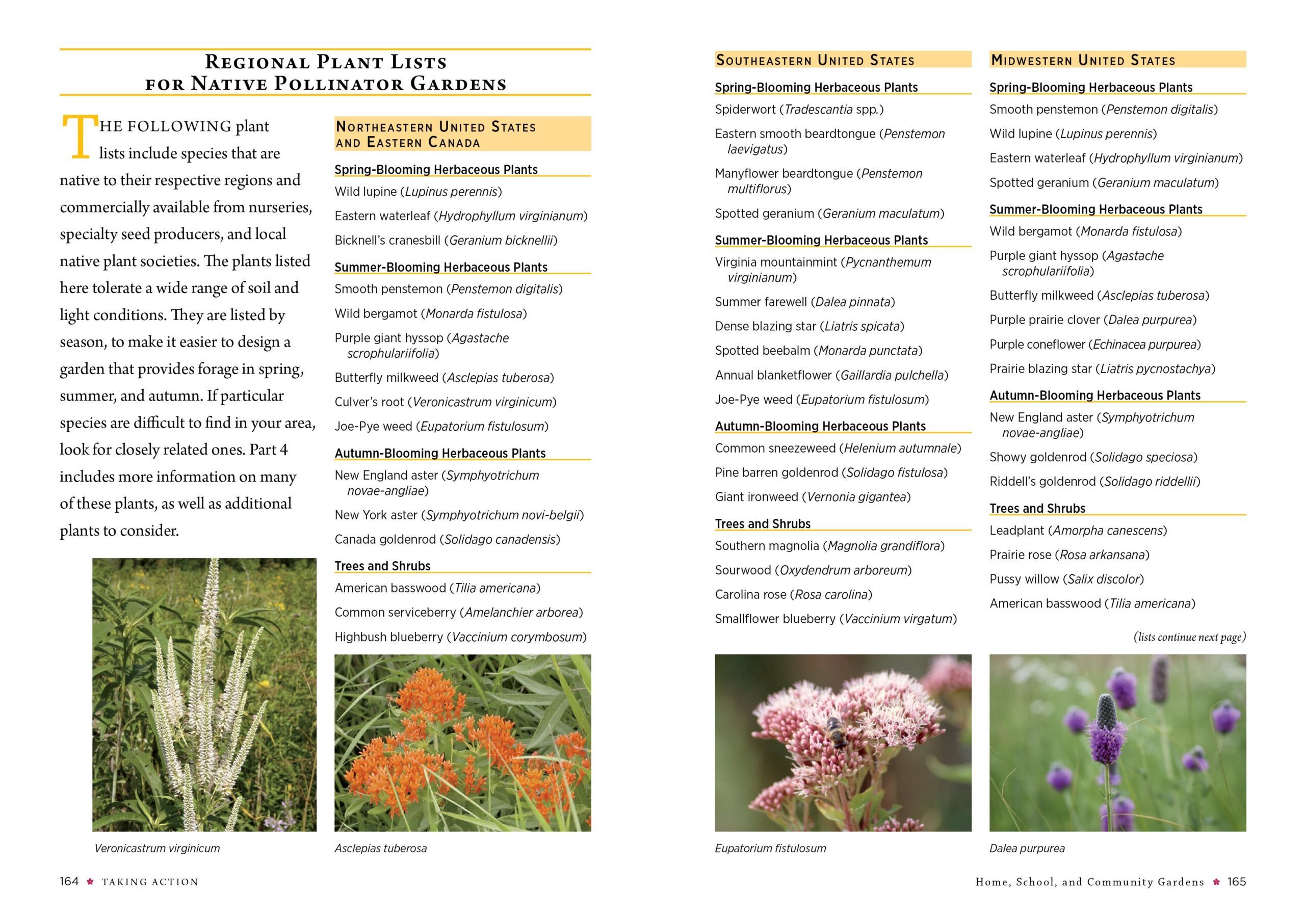 Unlocking Soil Secrets: A Gardener’s Guide to Attracting Native Soil Organisms