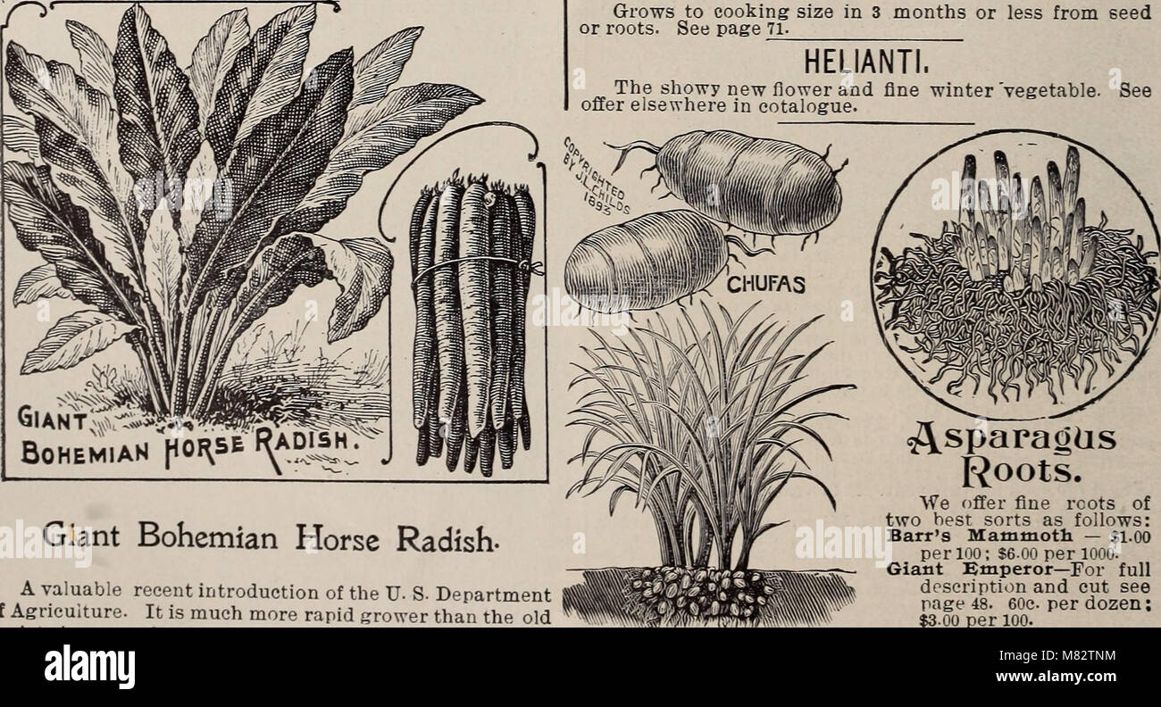 Unveiling the Secrets: A Comprehensive Guide to Cultivating Rare and Exotic Plant Species