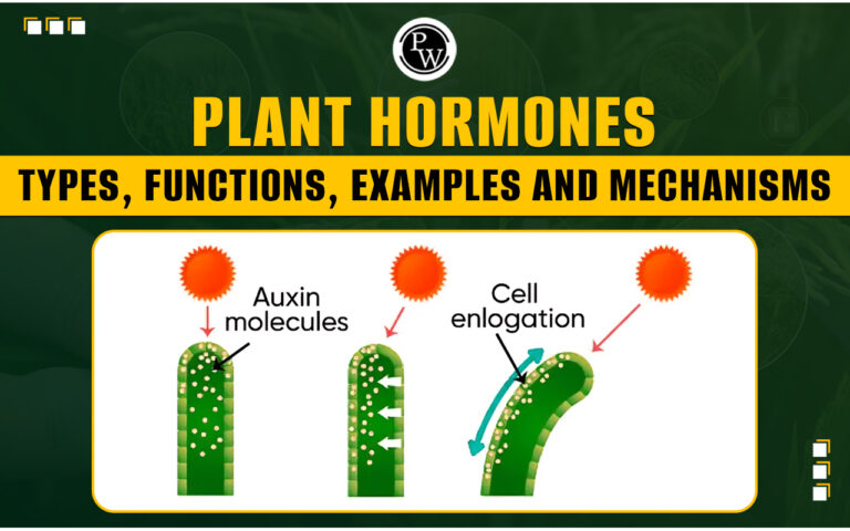 Unlocking the Secrets of Plant Hormones: A Comprehensive Guide to Their Functions