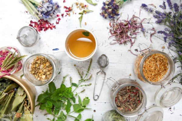 Brew Your Own Bliss: A Comprehensive Guide to Growing Organic Herbs for Tea
