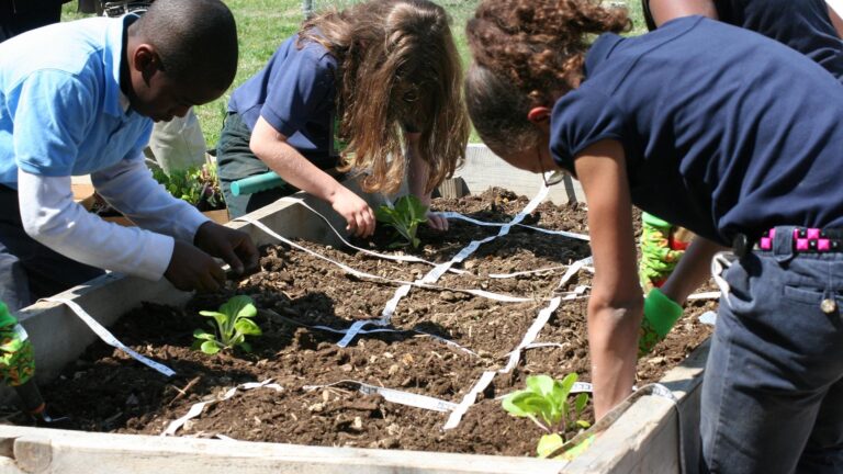 Cultivating Tomorrow’s Stewards: Exploring Sustainable Garden Education Curricula